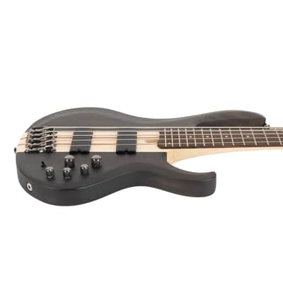 Ibanez BTB605TGF BTB Standard 5-String Electric Bass - Transparent Gray Flat image 5