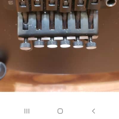 EVH Standard 2021 - Satin image 5