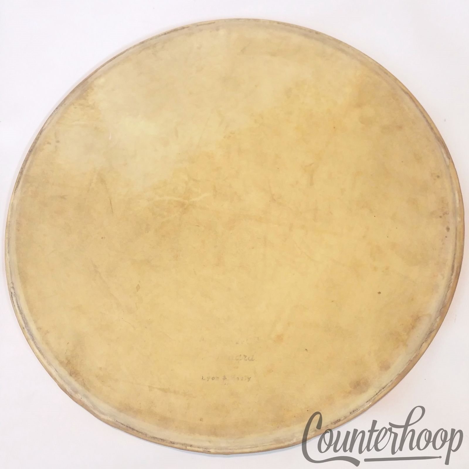 Lyon&Healy 13" Calf Skin Tom/Snare Drum Head Calfskin Batter Amrawco Standard* — main photograph
