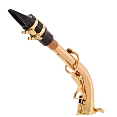 Yanagisawa A-WO20 Alto Saxophone image 2