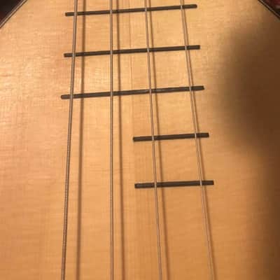 Lars Torressen Colascione Bass Lute 2020 image 6