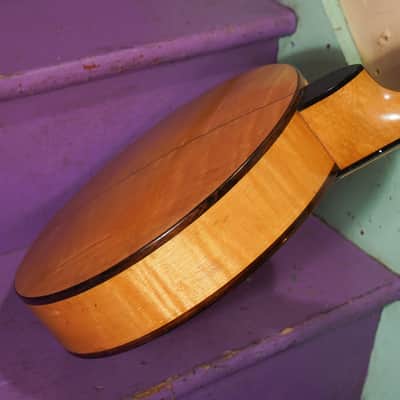 1920s Vega William Schmick Lyric Resonator Tenor Banjo (VIDEO! Fresh Work, Ready) image 13