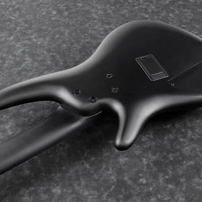 Ibanez SRMS625EX Iron Label 5-String Multiscale Bass - Black Flat image 3