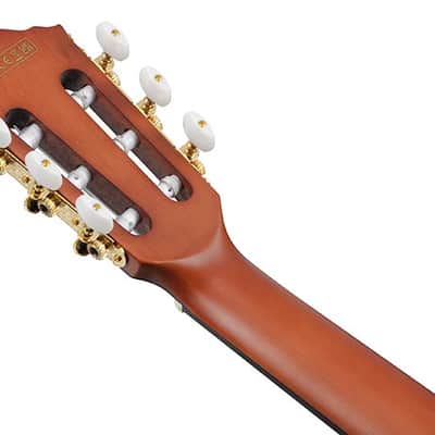 Ibanez FRH10N A/E Classical Guitar -  Natural Flat Finish Bild 3