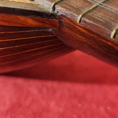 LUTHIER SPECIAL Antique 1900s Italian Mandolin Natural For Repair w/ Chipboard Case image 15