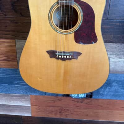 Washburn D48 SW Acoustic image 3