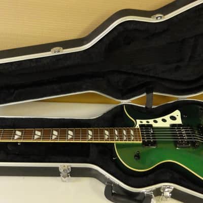 Fernandes Ravelle DK Dave Kushner Signature Velvet Revolver Case Factory Sustainer image 2