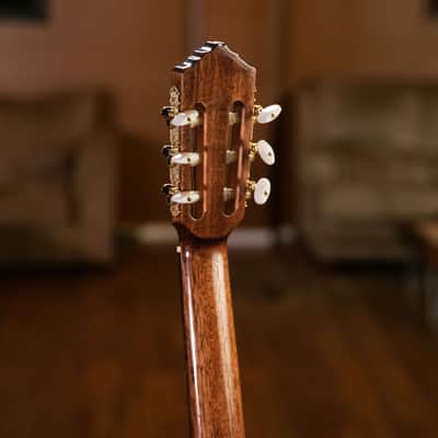Ortega RCE158SN Performer Series Solid Spruce Top Mahogany Neck Cutaway Nylon 6-String Classical Acoustic-Electric Guitar w/Gig Bag image 24