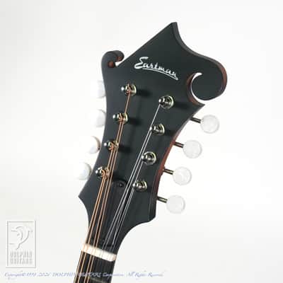 Eastman MD-315E/SB image 7