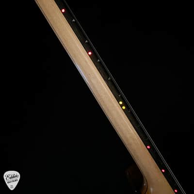 Alembic Skylark - Zebrawood image 11