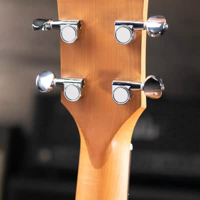 Taylor BBT Big Baby Taylor Acoustic Guitar with Gig Bag image 4
