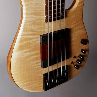 Fodera Imperial Elite 5 - Flame Maple Top image 2