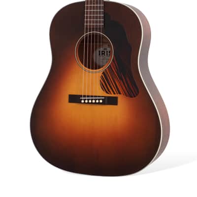 Iris Guitar Company DF 2023 - Sunburst, Adirondack Top, Ivoroid Binding. NEW (Authorized Dealer) image 6