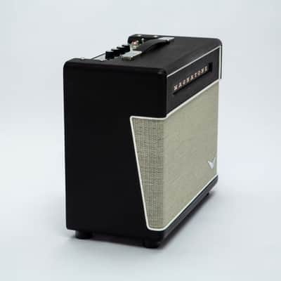 Magnatone Baby M-80 1x10 Combo image 4