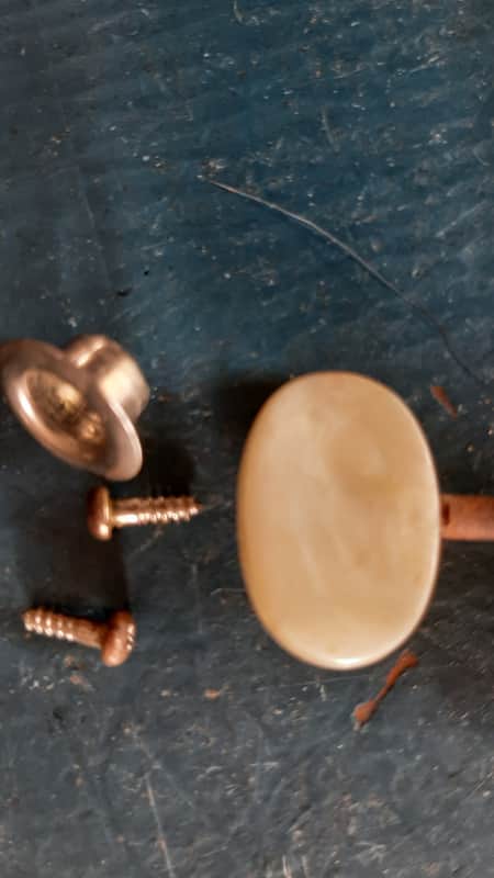 Van Ghent Tuner Ovale Button 1960 - Chrome and white - Good