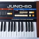 Roland Juno 60 - Serviced - Super condition