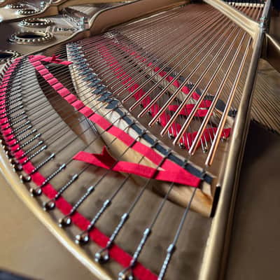 Steinway & Sons B 1959 - Ebony Satin #362672 Bild 8