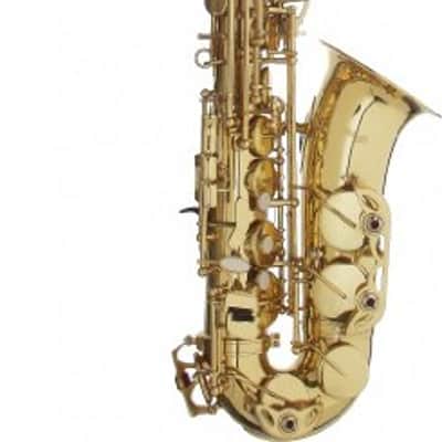 Stagg WS-AS215 Eb Alto Saxophone with Case image 5
