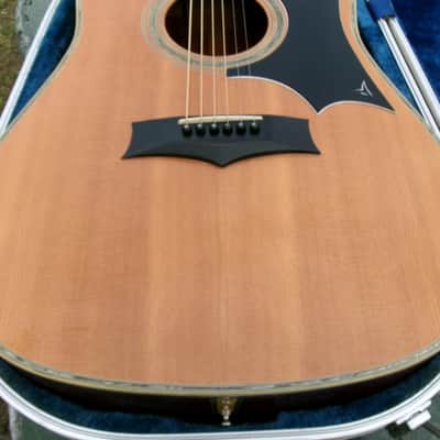 1973 Yairi YW600G Grammer Guitar Style New Jacaranda - Natural+Flight Case image 18