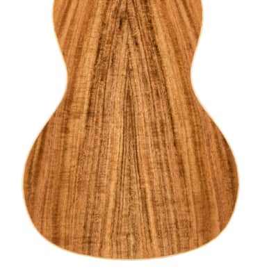 Lanikai All Solid Acacia Concert Ukulele (ACS-C) image 2
