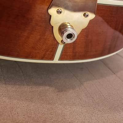 Eastman  AR805 2010 Violin Finish With K&K Definity image 7