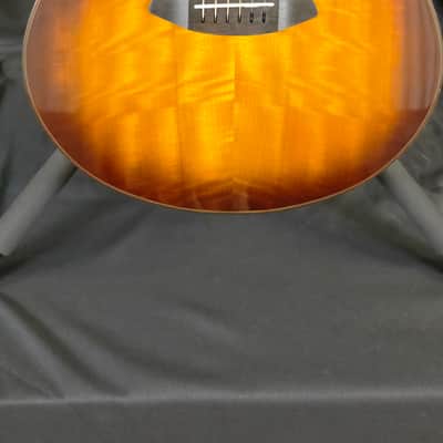 Breedlove Pursuit EX S Concert TE CE 2023 - Tigers Eye image 2