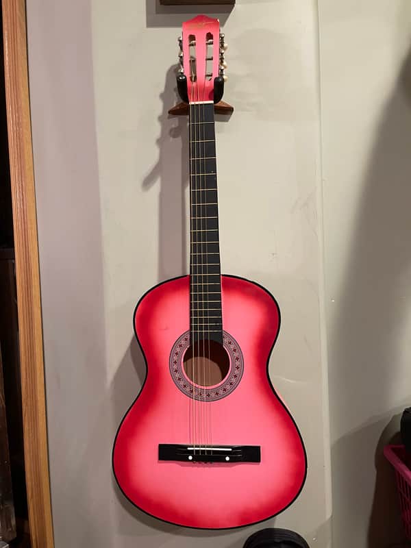 BC Aucoustic 2020 Pink sunburst image 1