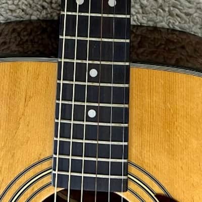 Fender Model DG21S Solid Spruce Top 1990s Korean Made | Reverb