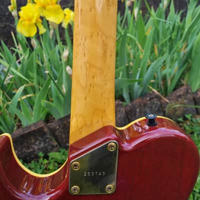 Greco Telecaster japan, bird's eye neck (print), mahagony body, 3,1 kg, rare image 5