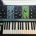 Moog Grandmother 32-Key Semi-Modular Analog Synthesizer 2018 - Present - Black / Multi-Colored Panel