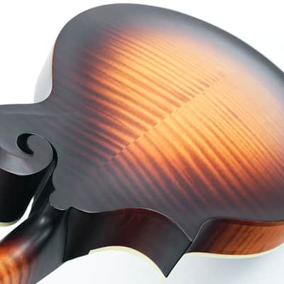Gibson Sierra Hull F5G VOS Varnish image 9
