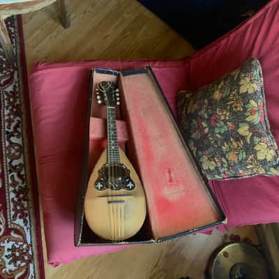 Mandolin Brothers Stridente 1905-1915 image 2