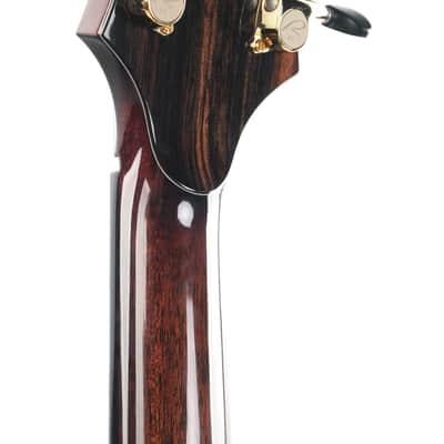 Kevin Ryan Nightingale Cocobolo Glacier Sitka Spruce 25th Anniversary image 6