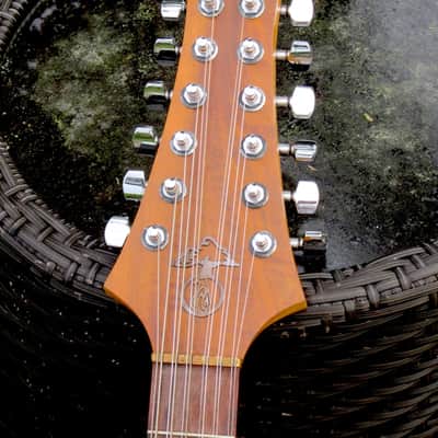 Alembic LSG Series I 12-string 1977 image 5