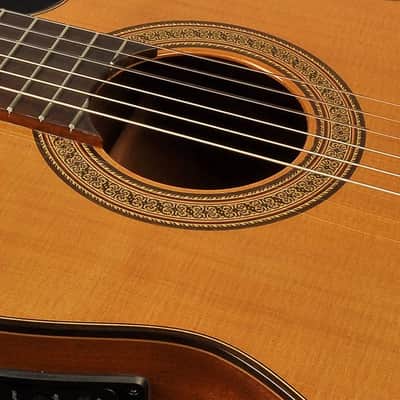 Esteve Electro Acoustic 3ECE classic guitar image 4