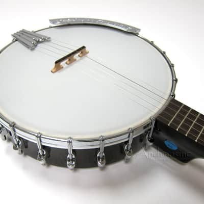 Gold Tone 5-String Bluegrass Open Back Banjo w/ Gig Bag image 3