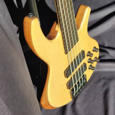 Overwater Progress Series IV Custom 5 String Fretless image 3