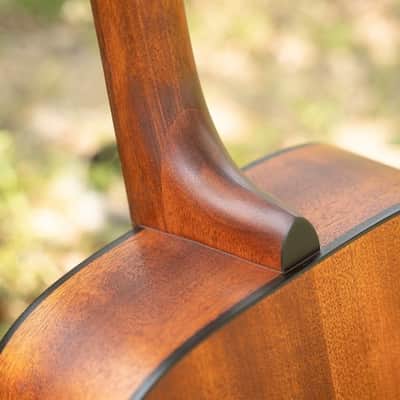 Cort AD810 OP | Standard Series Spruce/Mahogany Dreadnought. New with Full Warranty! image 4