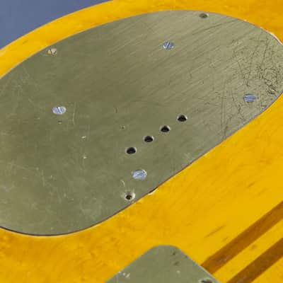 1975 Alembic Series 1 image 24