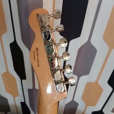Partscaster Fender '72 Thinline Telecaster image 15