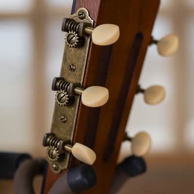 Lyon & Healy Lakeside Parlor Acoustic Electric - Indian Rosewood #004 image 17