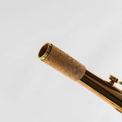 Yanagisawa AWO2 Professional Model Bronze Alto Saxophone image 2