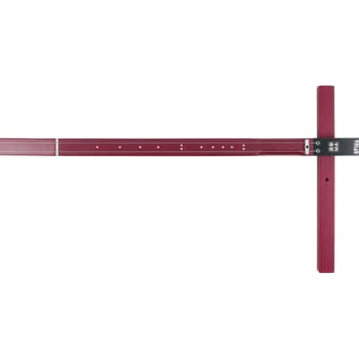 SOMA Laboratory Dvina Electro-Acoustic Stringed Instrument (Red) [USED] image 1