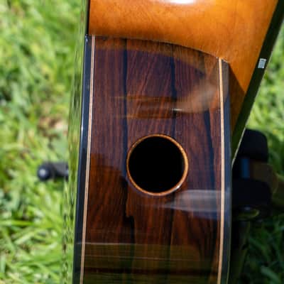 2016 Kris Barnett, Cedar Ziricote, Hybrid Fan Lattice Braced, Elevated Fingerboard , Soundport image 8