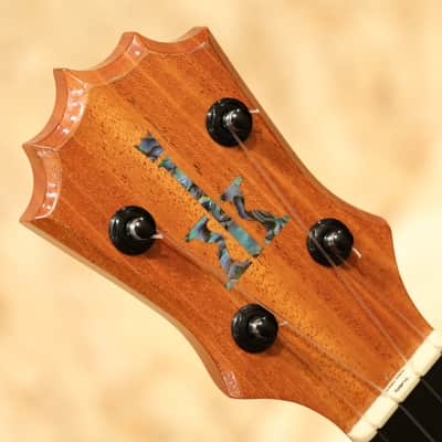 Koaloha KSM-02 Factory Special Soprano Long Neck 2018 image 8