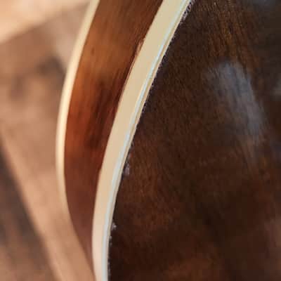 Gibson Mastertone Banjo RB-250 1970-1975 image 18
