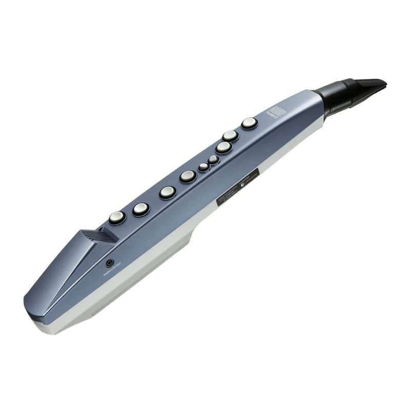 Roland AE-01 Aerophone Mini Compact Easy-to-Learn Battery-Powered Wireless Digital Wind Instrument with 6 High-Quality Onboard Sound (Blue)