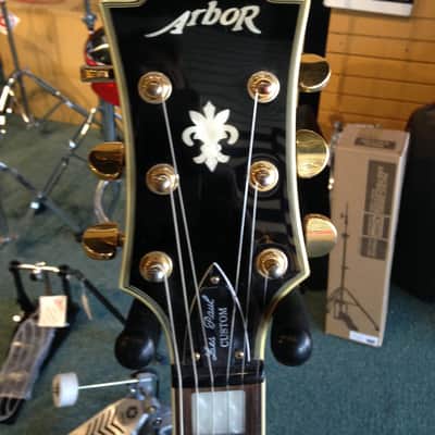 Arbor AP230 Les Paul copy Black Nice guitar....check it out! image 4