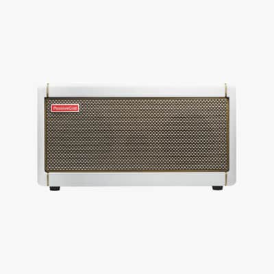 POSITIVE GRID Spark 40 - Pearl Bild 2