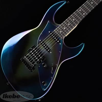 STR GUITARS James Tyler Guitars Design SSH [Titanium-like Finish] -Outlet Special Price!!- image 1
